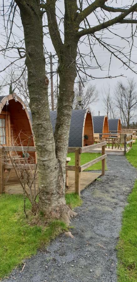 Glamping At Treegrove Hotel Килкени Екстериор снимка